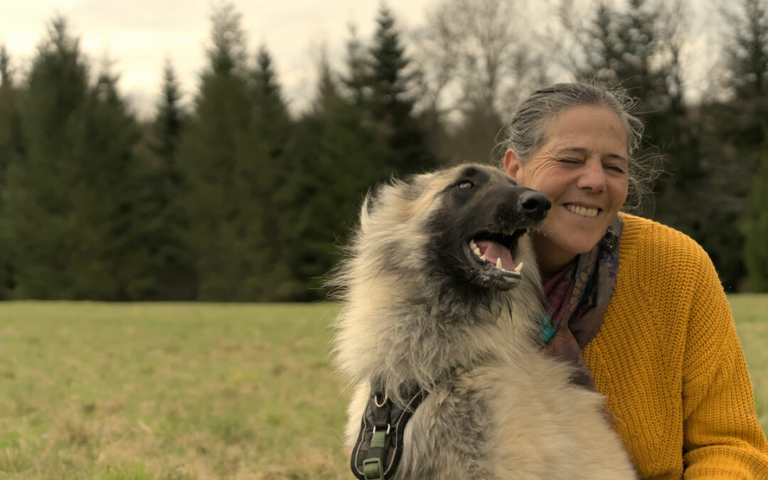 L’éducation positive chez les chiens